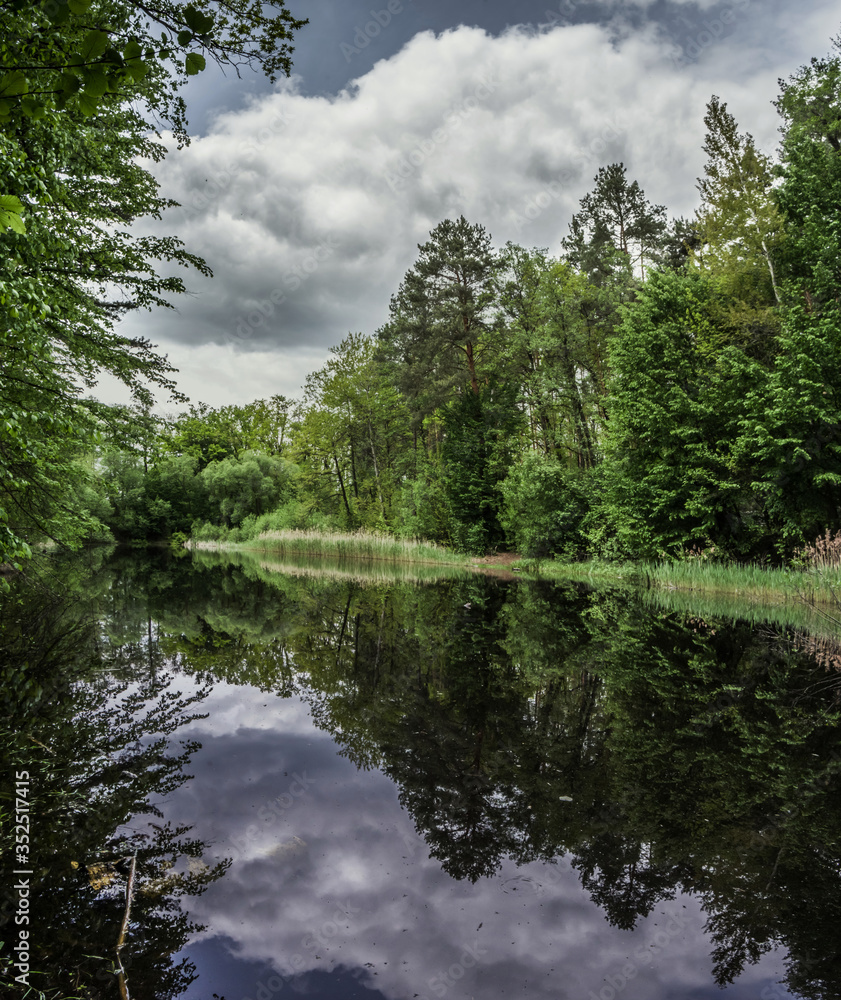 Pond in the forest on the Vydritsa stream near Kiev Pond in the forest on the Vydritsa stream near Kiev