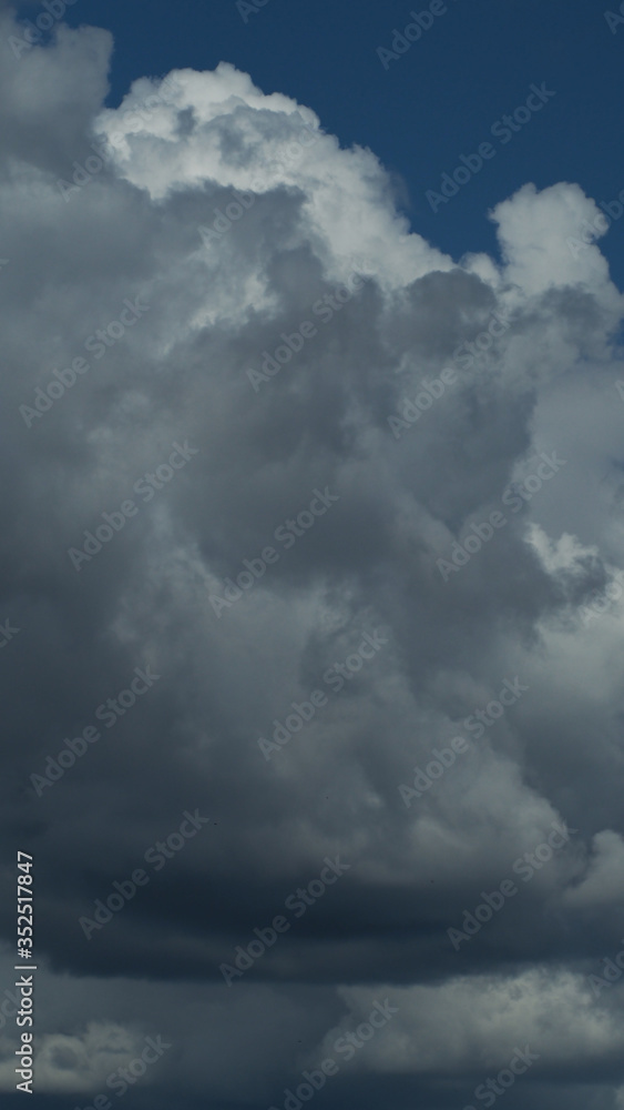 Gros cumulus congestus dans un ciel de traîne Gros cumulus congestus dans un ciel de traîne