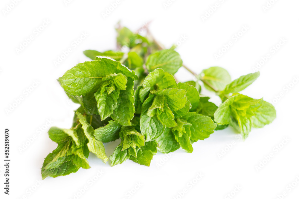 mint mint
