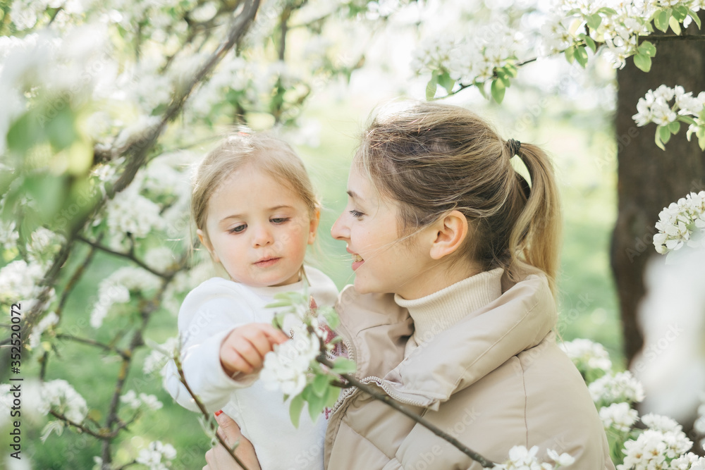 A beautiful charming mother and daughter walk in a flowering park in spring. Warm hugs, tenderness, kiss mom and baby. Blooming white trees, the sun, good mood, joy. A beautiful charming mother and daughter walk in a flowering park in spring. Warm hugs, tenderness, kiss mom and baby. Blooming white trees, the sun, good mood, joy.