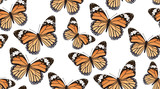 Pattern with red butterflies on a white background. Suitable for curtains, wallpaper, fabrics, wrapping paper. Monarch Butterfly.