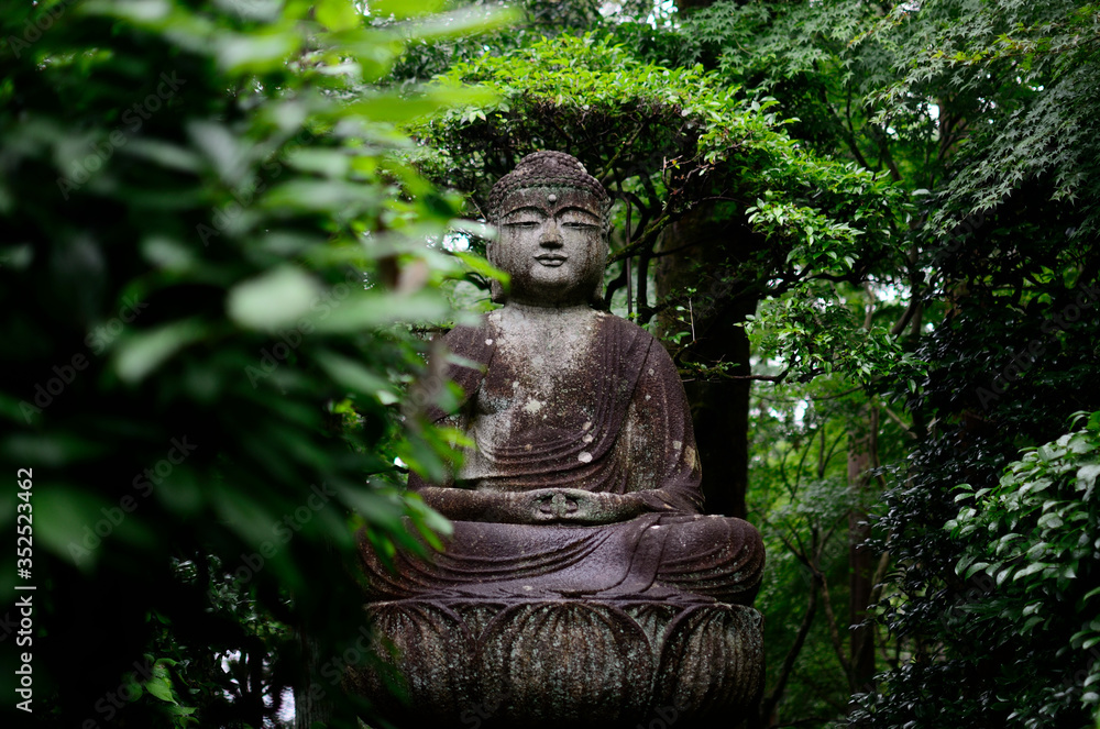 Buddah Statue in Japan
