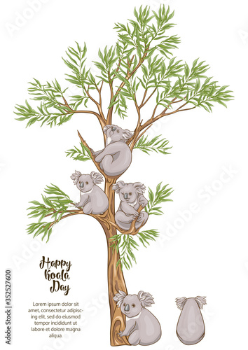 Canvas Print Koala and eucalyptus