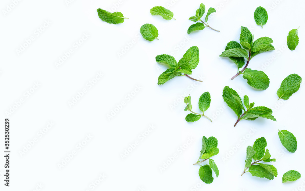 Fresh mint leaves on white Fresh mint leaves on white