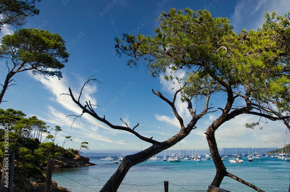 the coasts of the island of porquerolles in france, on the azure coast the coasts of the island of porquerolles in france, on the azure coast