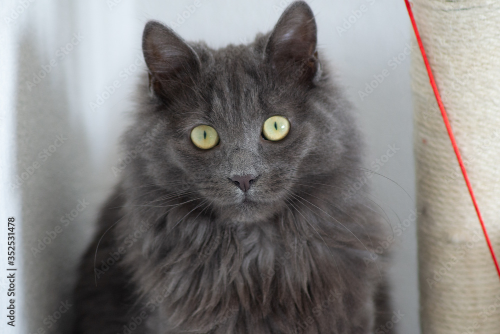 Fototapeta premium jeromepalacios_fr