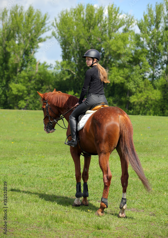 Equestrian model girl riding sportive dressage horse in summer fields Equestrian model girl riding sportive dressage horse in summer fields