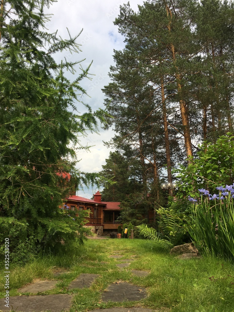Fototapeta premium nature of Russia. Ural. Sanatorium Demidkovo. Polazna