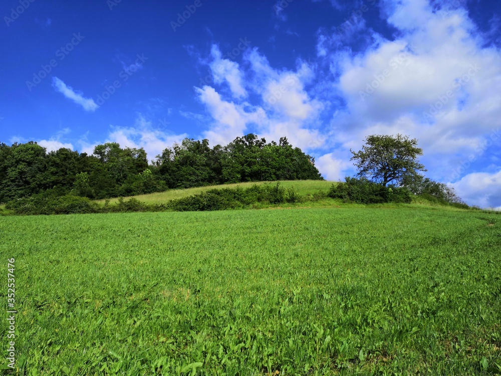 Paysage champêtre Paysage champêtre