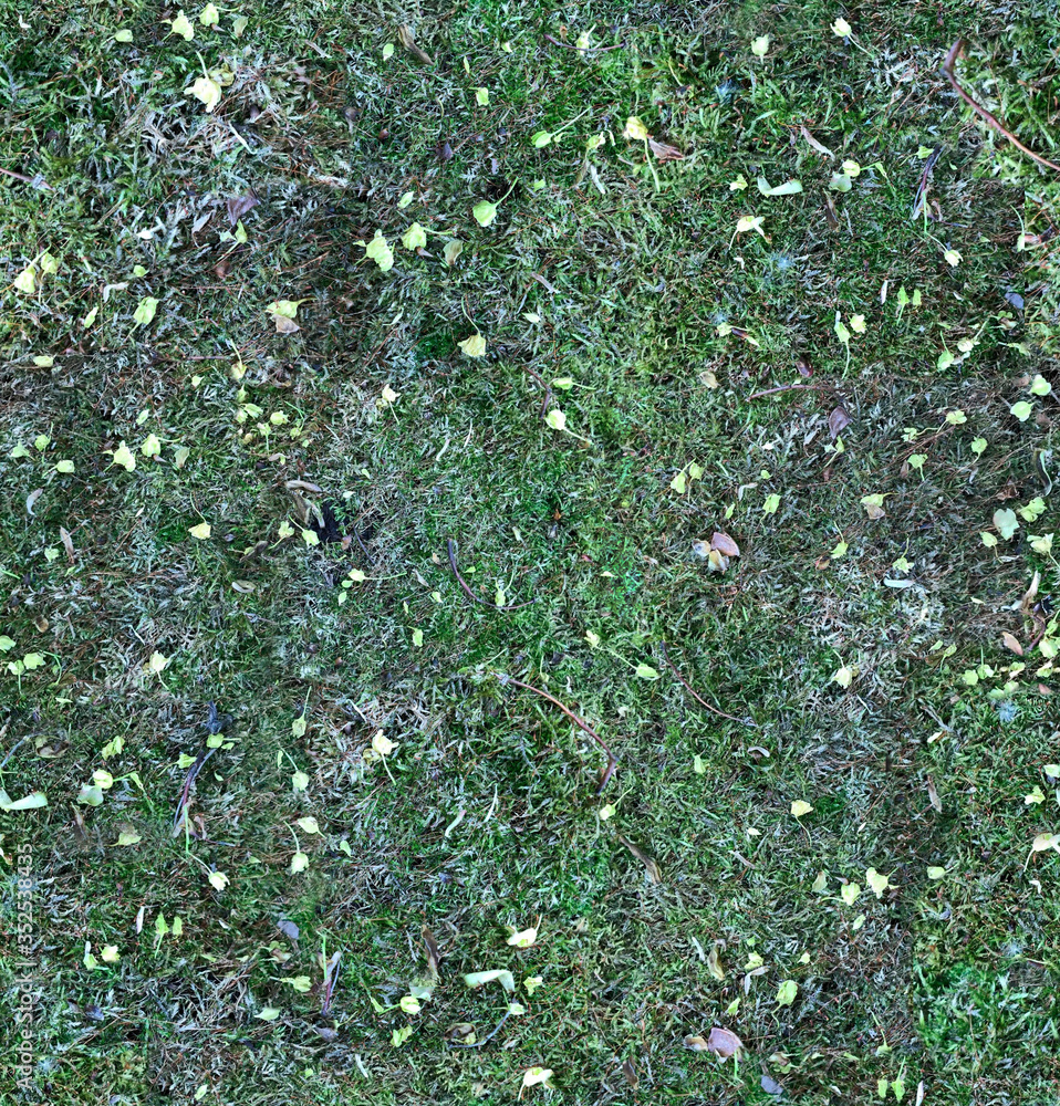 forest floor texture seamless