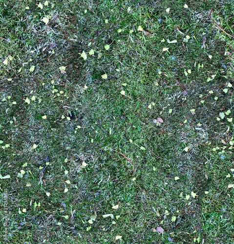 Moss texture for forest floor, or old mossy felled tree - seamless pattern. Green Ground detailed background for 3d material surface or Web Design with nature.