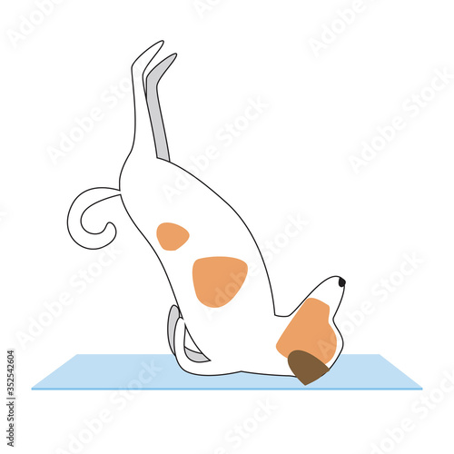 Jack Russell Terrier doing yoga on a mat isolated on white background for design, flat or outline vector stock illustration with character and asanas Viparita Karani Mudra