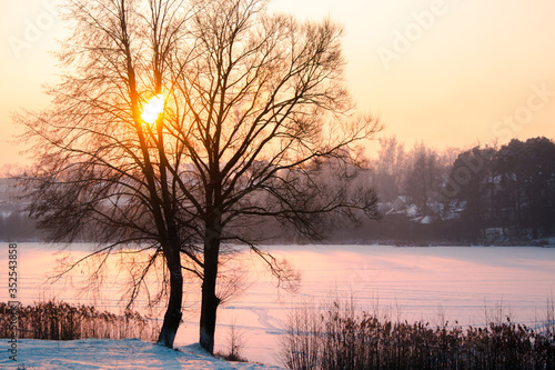 winter, frozen and snowy river in sunset light, light passes through a tree standing on the shore © Hanna