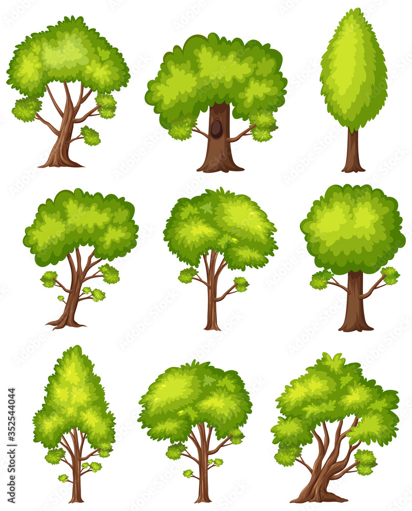 Fototapeta premium One big tree on white background