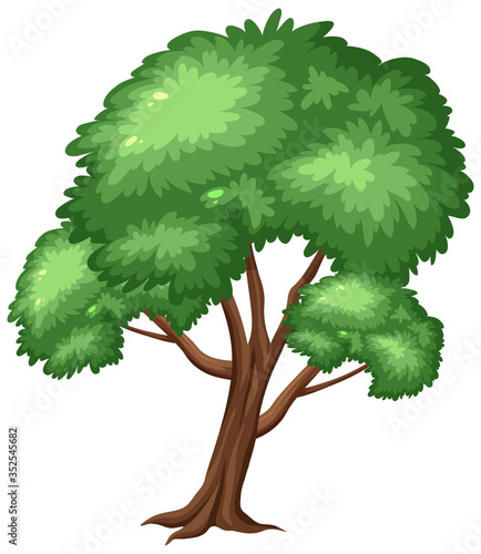 One big tree on white background