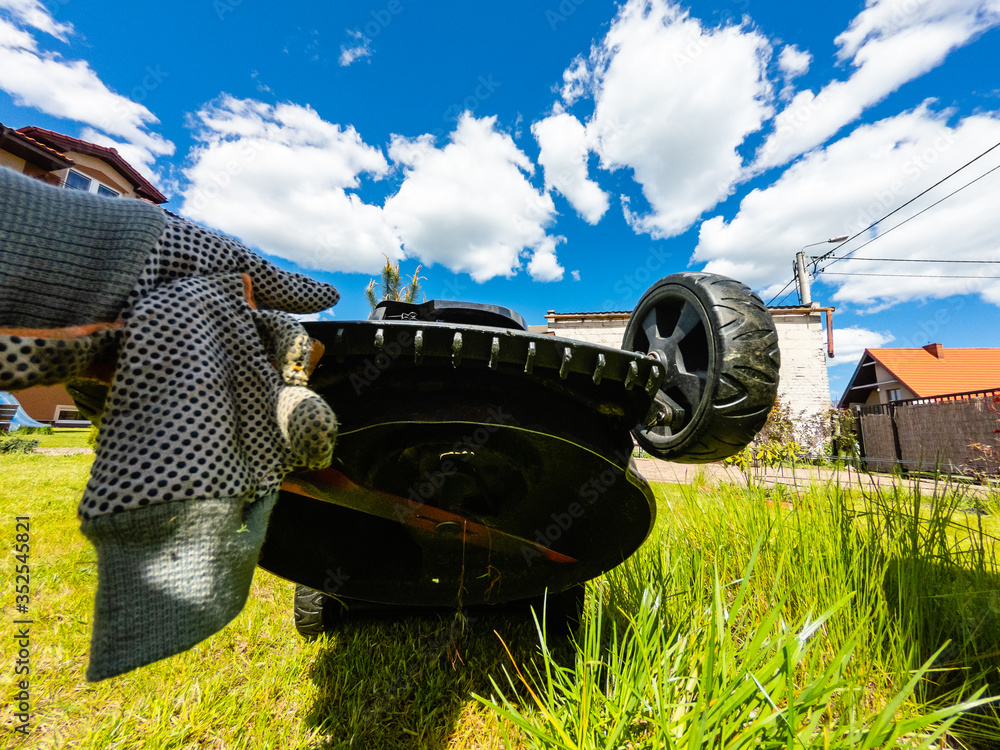 Naklejka premium Mowing the grass in the home garden