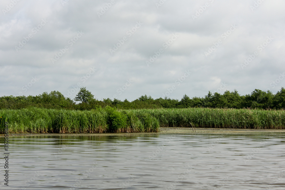 Panorama, wild view of Churia river in the swamps of Kolkheti National Park. A lot of reeds. Summer, green landscape Georgia country. Panorama, wild view of Churia river in the swamps of Kolkheti National Park. A lot of reeds. Summer, green landscape Georgia country.