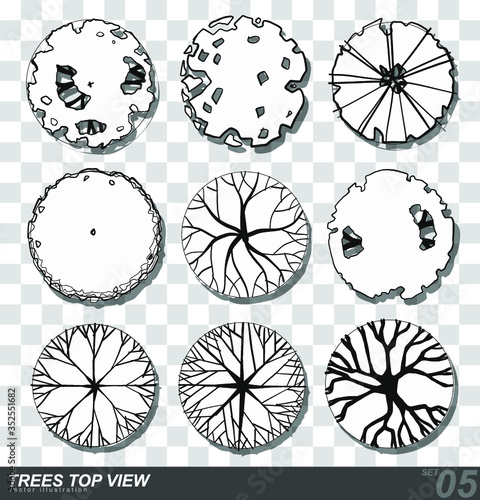 Set of Trees top view for landscape design- vector illustration