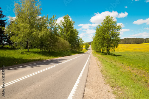 Pleasant sunny summer landscape: old blue sky and clouds, green grass, yellow dandelion rapeseed flowers on a meadow and a highway road. A happy scenery view and spirit of adventure.