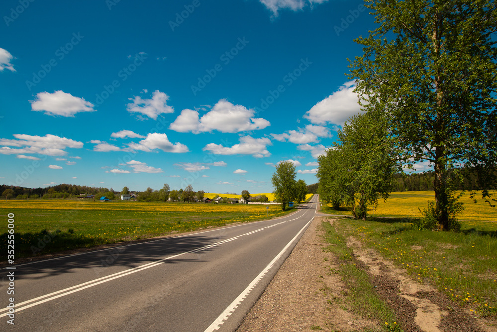 Pleasant sunny summer landscape: old blue sky and clouds, green grass, yellow dandelion rapeseed flowers on a meadow and a highway road. A happy scenery view and spirit of adventure.