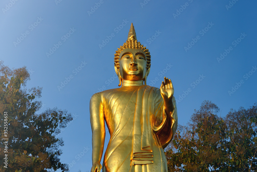 Fototapeta premium golden buddha statue in thailand