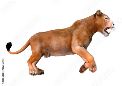 3D Rendering Female Lion on White