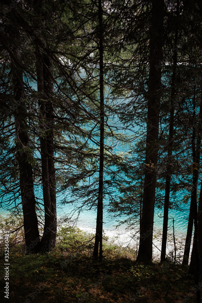 Obraz premium Lago di Braies in Trentino Alto Adige, vista della foresta di abeti