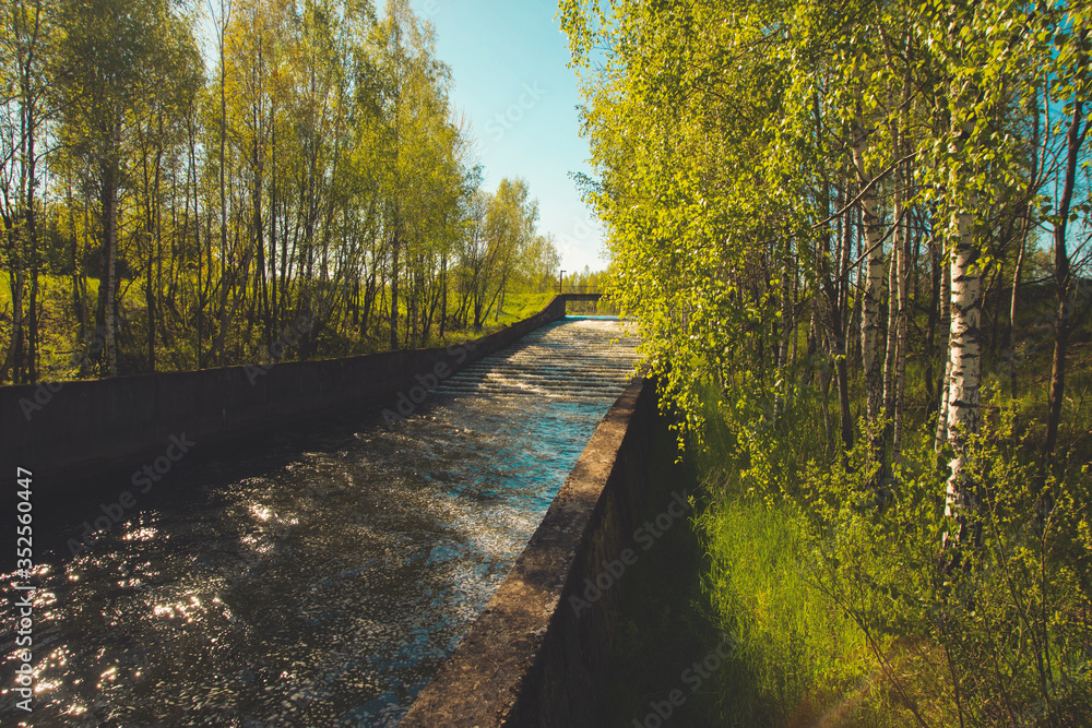 Obraz premium Pleasant sunny summer landscape: old blue sky and clouds, green grass, yellow dandelion flowers on a meadow and country road. A happy scenery view.