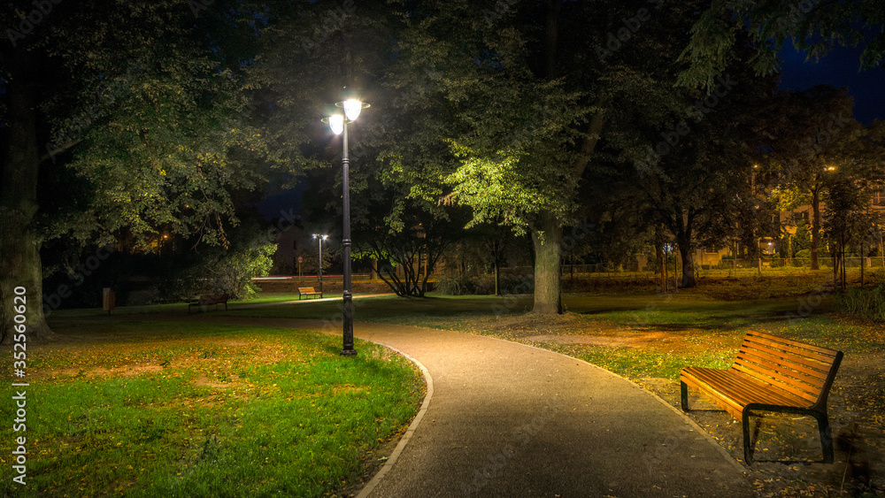 Obraz premium w parku nocą 