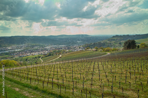 Weinberge Remstal