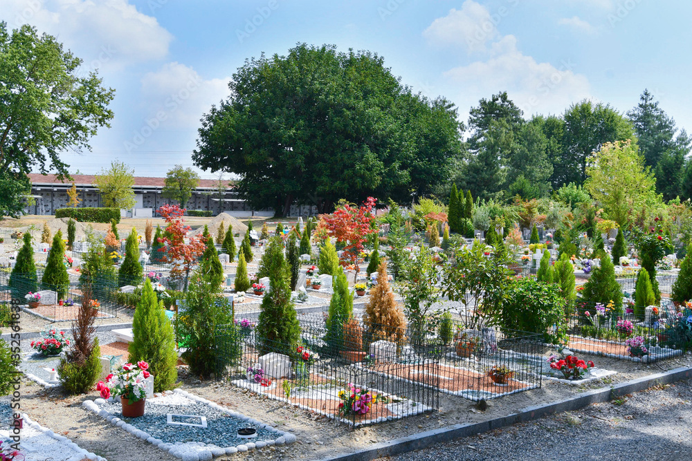 Many graves in the cemetery