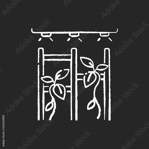 Vertical garden chalk white icon on black background. Greenery in interior. Cultivate home garden. Horticulture in apartment. Modern landscaping. Isolated vector chalkboard illustration