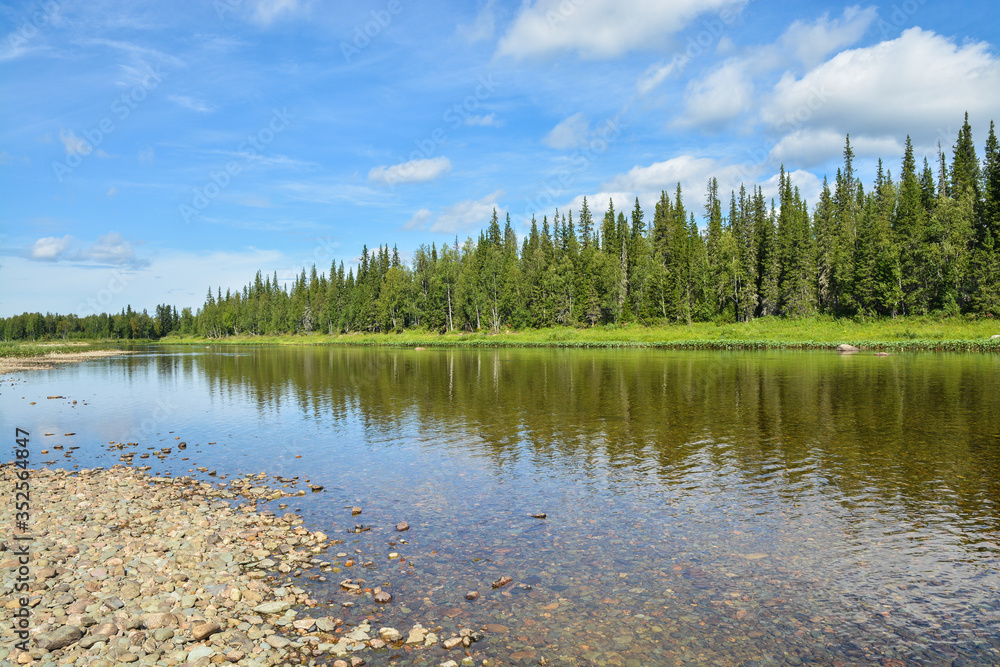 Fototapeta premium Forest and river.