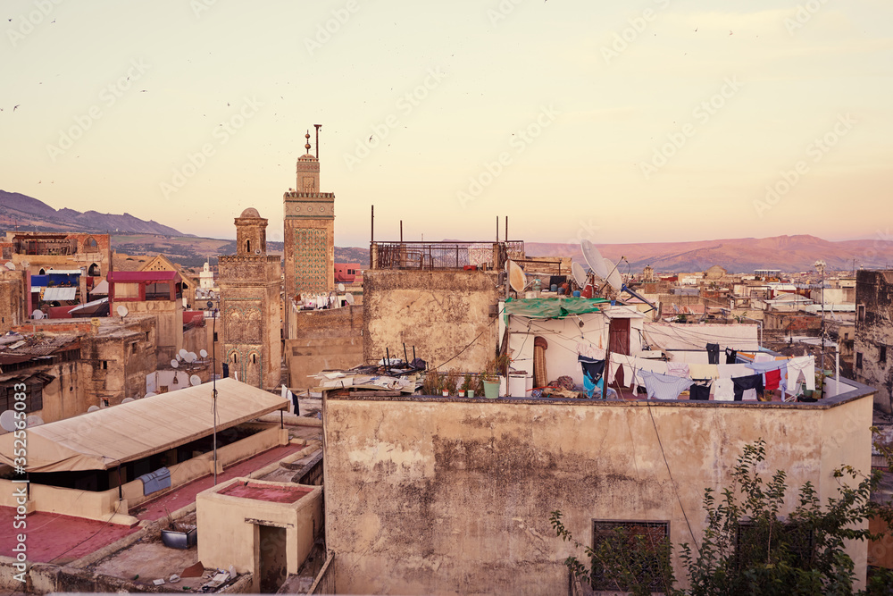 View of Fez City from the roof top terrace. Fes el Bali Medina, Morocco, Africa.