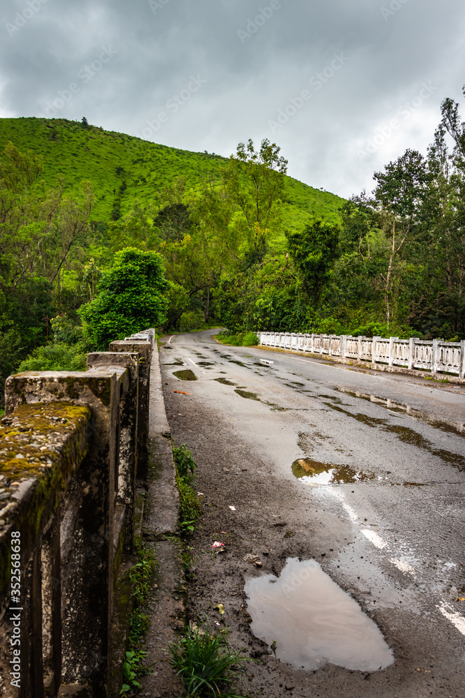 Fototapeta premium tarmac road covered with dense green forest isolated