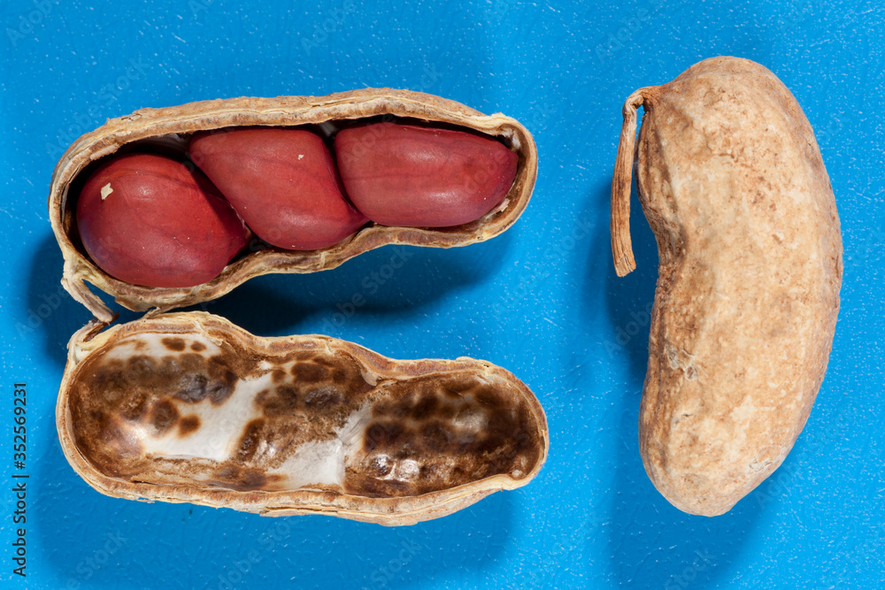 Obraz premium Amendoim