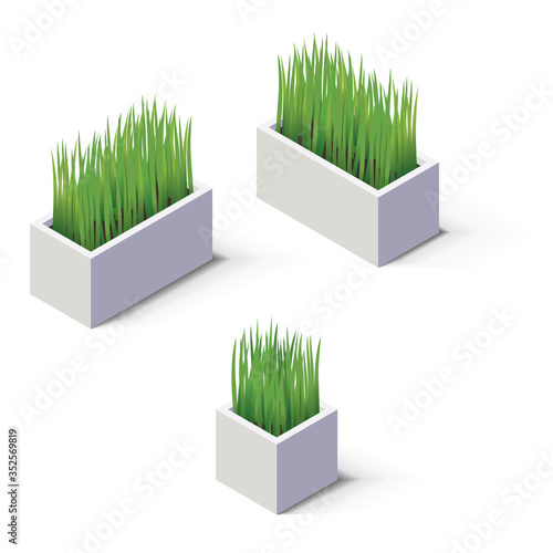 Isometric plants in a concrete planter. Indoor and outdoor design element.