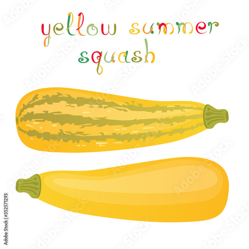 Yellow summer squash. Two kinds of fresh zucchini and colorful title.