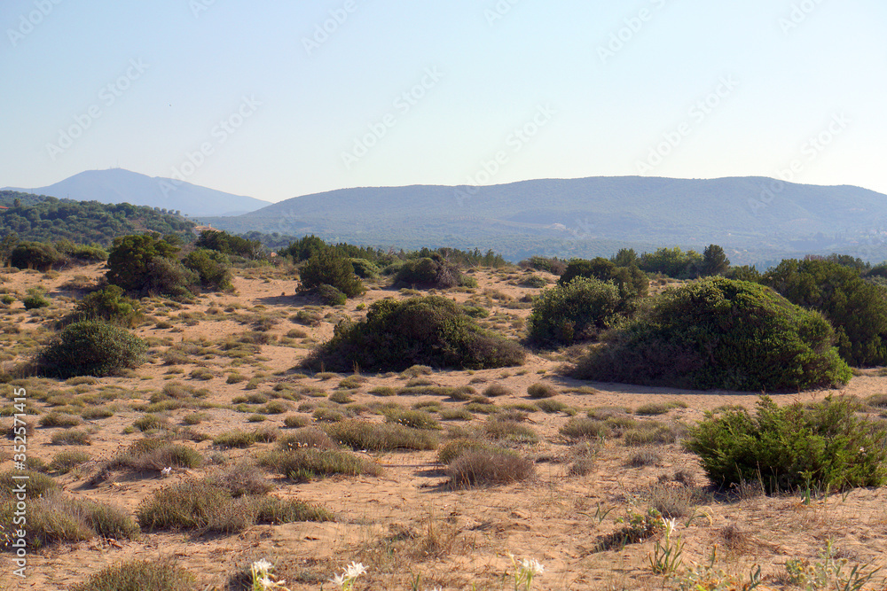 View of unspoiled nature of Black Mountain beach,Foinikounta