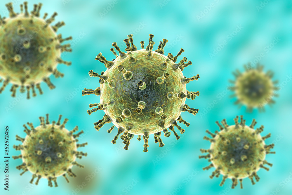 Varicella zoster or chickenpox virus Varicella zoster or chickenpox virus