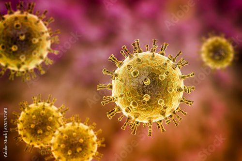 Varicella zoster or chickenpox virus photo