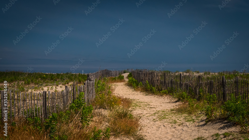 Sandy path between rustic wooden fences and wild vegetation.