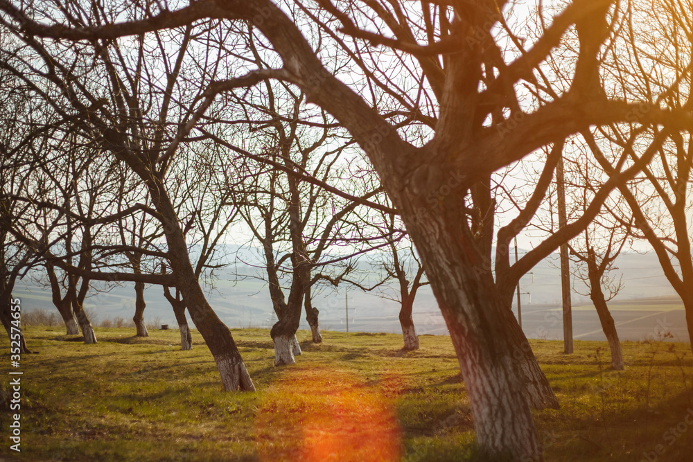 Mini park under the sunset. Warm light.