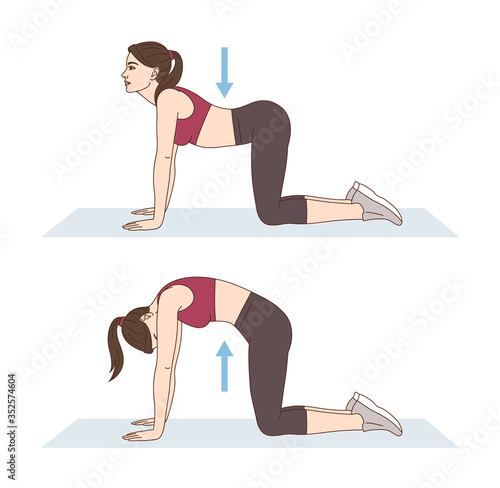A woman is doing sports exercises. Cat cow. Workout for back. Fitness for weight loss.