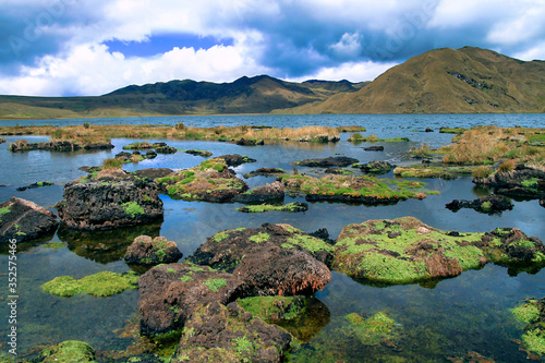Lagoon, El Cajas National Park, Grassland Ecosystem, Ramsar Wetland, Highlands, Azuay Province, Ecuador, America