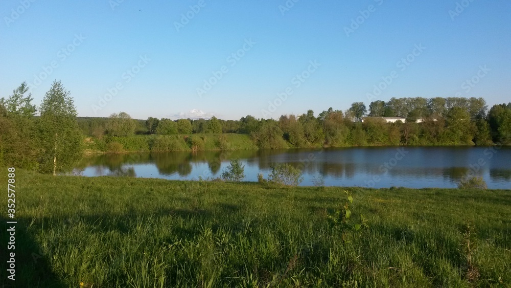 lake in the forest