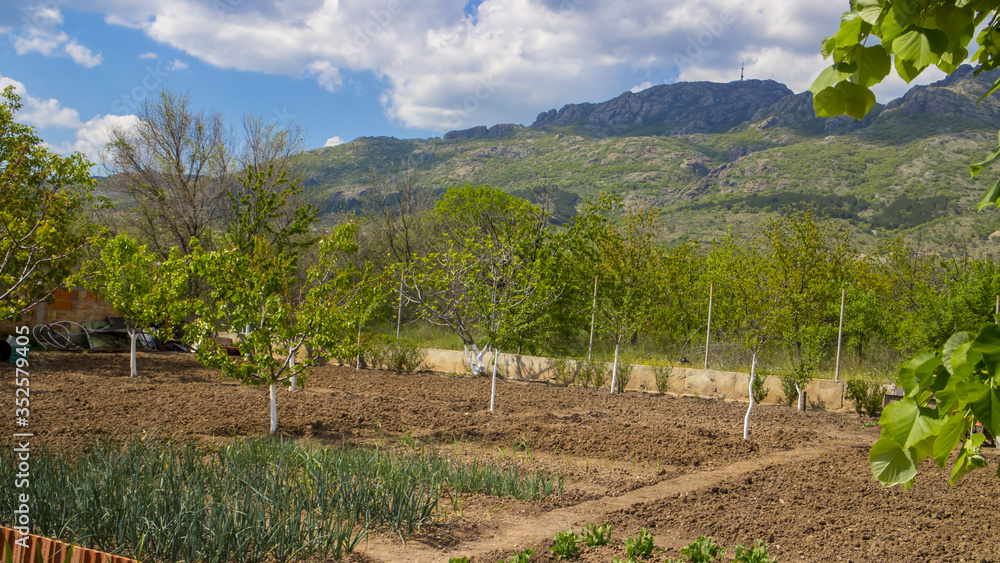 Garden with vegetables and green trees. Mountain called Garden with vegetables and green trees. Mountain called