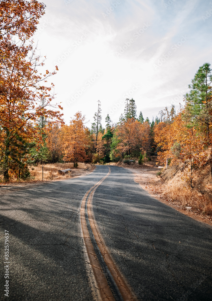 Bass lake in California, USA Bass lake in California, USA