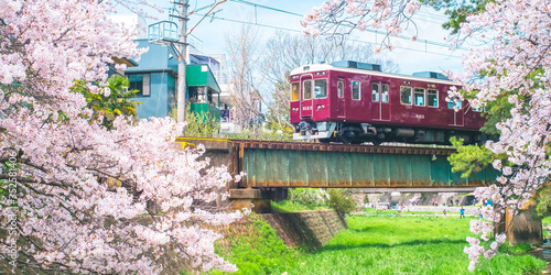 Cherry Blossom with Train in Shukugawa Park - Famous scenic of Cherry Blossom in Nishinomiya City, Hyogo Prefecture, Japan.