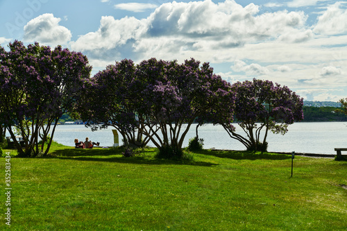 Bygdøy a summer day. 